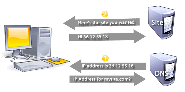 COmputer asks DNS server for IP address, then goes to IP to get website